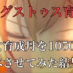 【放置少女】アウグストゥスに仙女育成丹を1050個食べさせてみた#放置少女