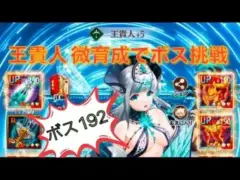 放置少女 ボス192突破 王貴人微育成