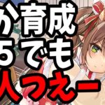 【放置少女】MRナタばか育成+5直後に闘技場ぶっこんだ全5戦がこちら