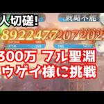 放置少女 3300万コウゲイに挑戦 急に弓強い…