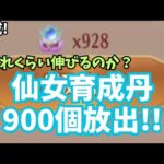 放置少女 仙女育成丹 貯め込んだ900個使用でどれだけ伸びるのか？