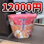 【放置少女でない】からあげクンを12000円かけて食べたVtuberの末路がこちら。