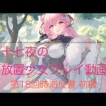 放置少女プレイ動画 第18回時海反響 陣営流転編 初心者講座