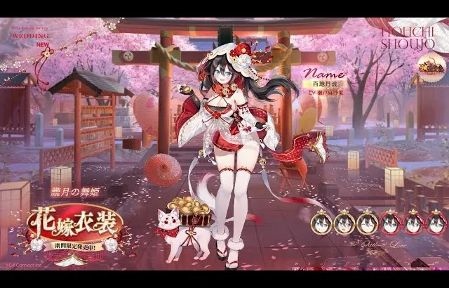 【放置少女ねここ趙公明】２０２５年７月８日の更新情報発信(*｀･ω･)ゞ　(デイリーは７月８日の昼１２時過ぎから実施してねm(_ _)m)　@user-gx9ej9gh8y