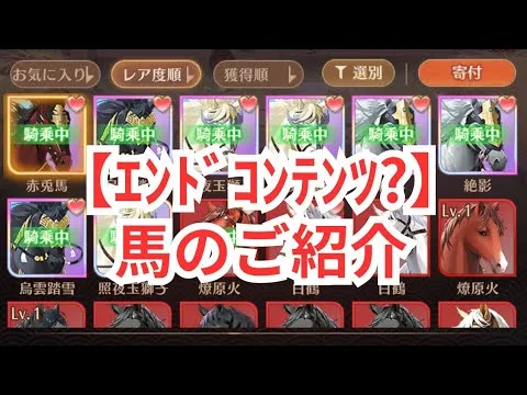 馬のご紹介 放置少女