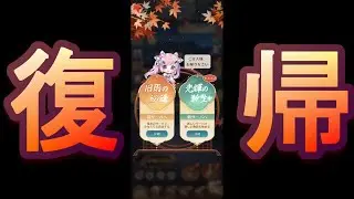【放置少女】約半年振りに放置少女の世界にカムバックしてきた無課金おじさん【放置少女 無課金縛り】