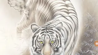 【放置少女ねここ趙公明】戦姫無双の対戦動画242(*`・ω・)ゞ (本日は白虎マークで挑ませて頂きましたΣb( `・ω・´)グッ!!) @user-gx9ej9gh8y