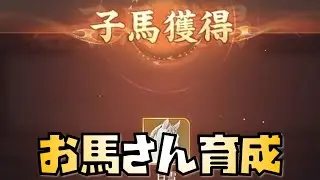 【放置少女】放置少女復帰企画 お馬さんの初伝承していきます