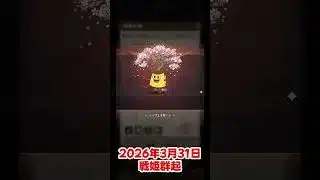 【放置少女】2026/03/31 戦姫群起が始まりました！幽谷シリーズのパンツオブザゲットの巻