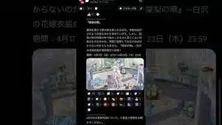 【放置少女】4月17日 更新情報まとめ 花嫁白沢