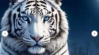 【放置少女ねここ趙公明】戦姫無双の対戦動画Σｂ( ｀・ω・´)ｸﾞｯ！！　(本日、白虎マークで挑戦(*･ω･)*_ _)ﾍﾟｺﾘ)