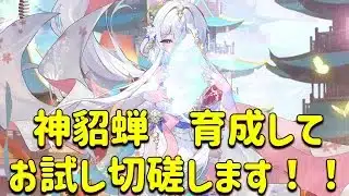 放置少女　神貂蝉育成してお試し切磋するよ！！思ったより火力高くてビビった。