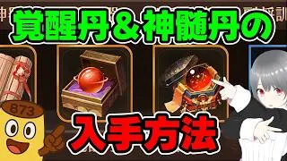 【放置少女】初心者必見！覚醒丹＆神髄丹の入手方法について解説します！
